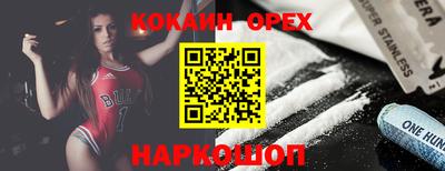 кокс Кингисепп