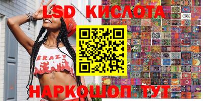 кокс Кингисепп