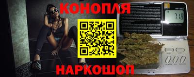 кокс Кингисепп