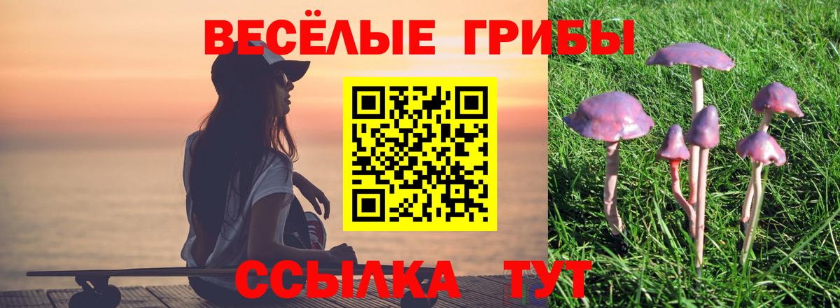Псилоцибиновые грибы Psilocybine cubensis  Вход с VPN  Кувандык 